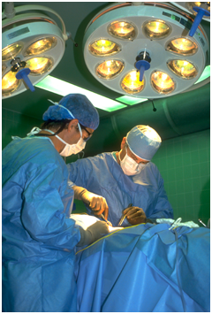 Mercury Orthopedics Design, Instruments, plates, screws for medical applications.